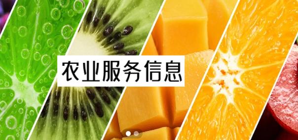 兴农易买商城APP安卓版