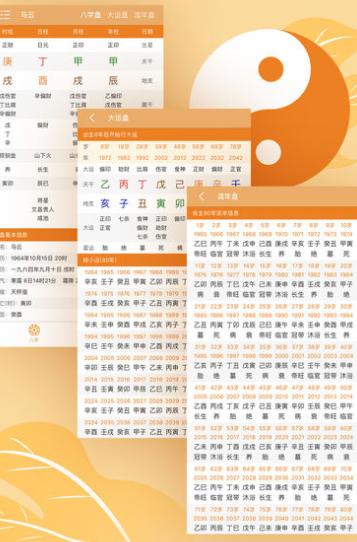 圆元会八字命理咨询软件