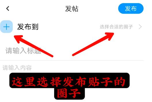 椰子社区手机客户端