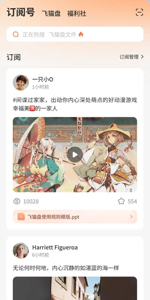 飞猫盘免费下载2024