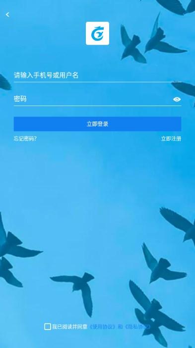 中鸽网app下载安装赛鸽查询