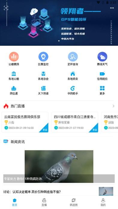 中鸽网app下载安装赛鸽查询