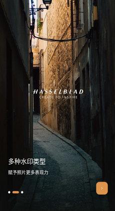 徕卡水印大师