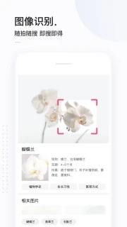 简单搜索