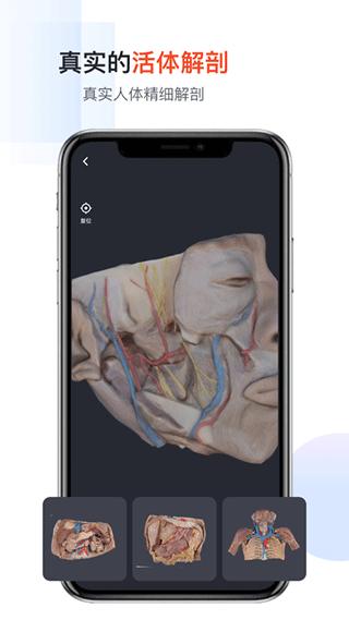 口袋人体解剖app