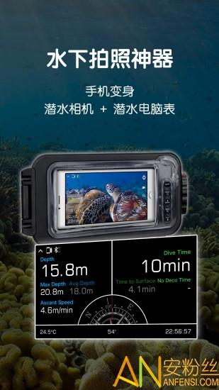 “dive+免费下载”