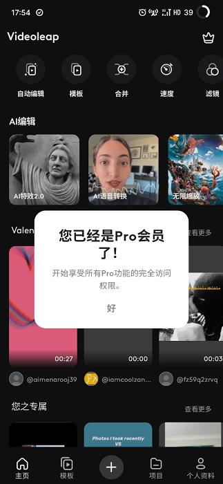 Videoleap破解版下载