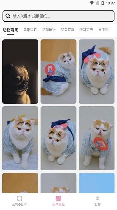 元气小组件手机版下载