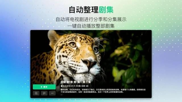 VidHub tv客户端
