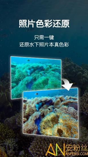 dive+下载app