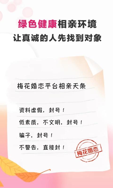 梅花婚恋最新版下载