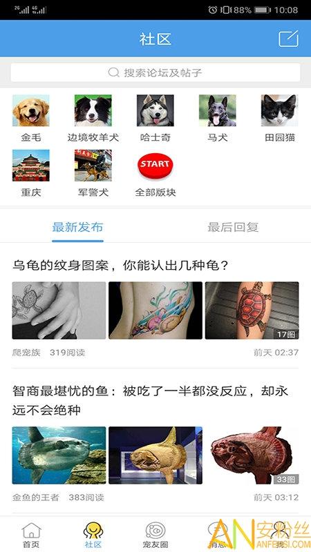 宠物之家官方版下载
