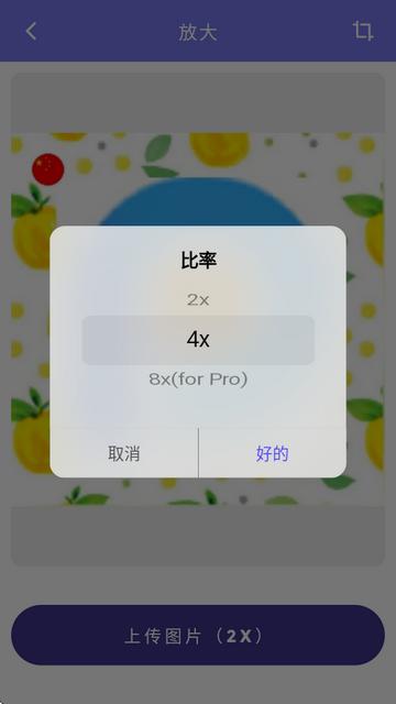 AI Enlarger画质2x官方版 AI Enlarger画质2x官方版