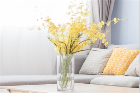 海报制作大师安卓版 海报制作大师安卓版