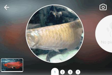 拍照识鱼专业版(Picture Fish)