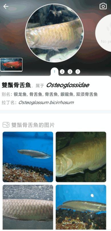 拍照识鱼专业版(Picture Fish)