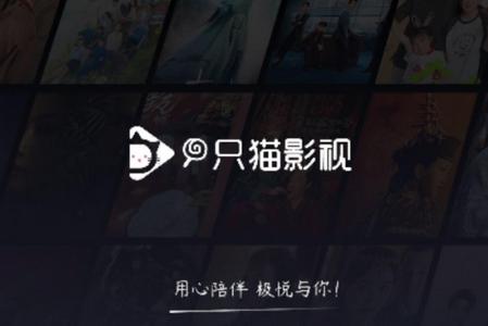 一只猫影视TV版