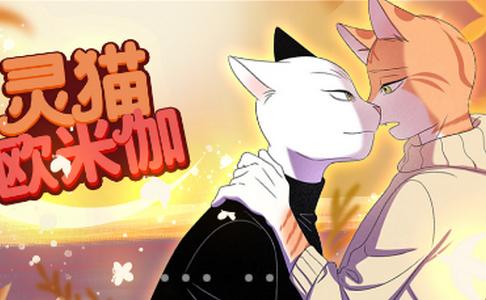 番木瓜app官方版