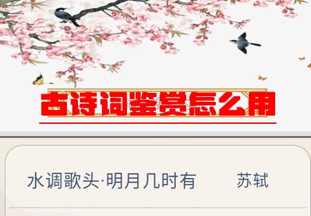 古诗词鉴赏 古诗词鉴赏