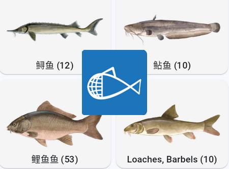 鱼星球app安卓手机版
