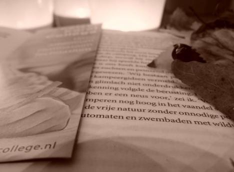 哔哩轻小说APP免费下载