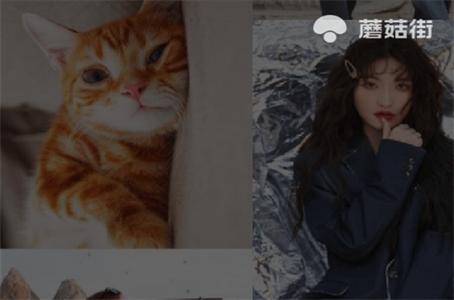 蘑菇街服务平台 蘑菇街服务平台