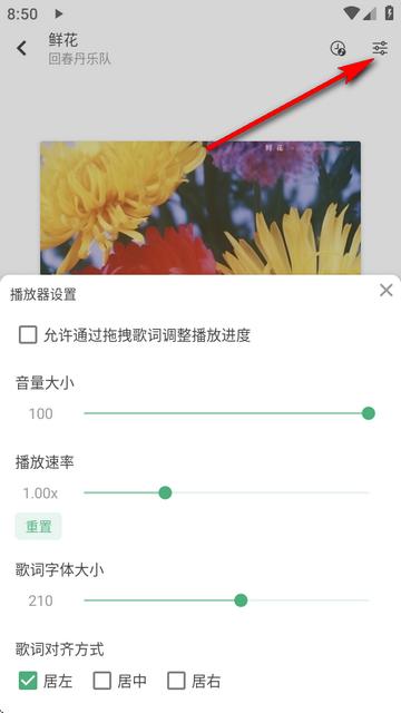 新洛雪音乐app 新洛雪音乐app