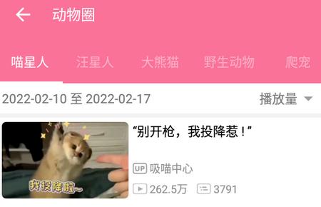 bilimiao哔哩哔哩时光机 bilimiao哔哩哔哩时光机