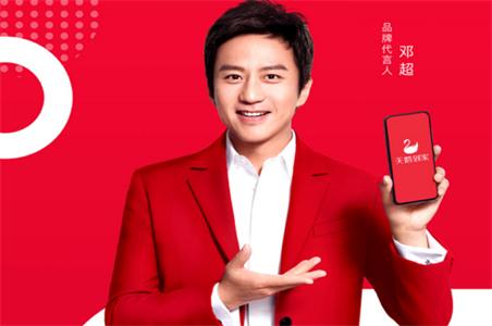 天鹅到家家庭服务平台 天鹅到家家庭服务平台