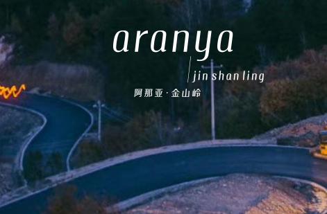 阿那亚旅游平台