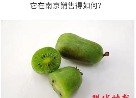 太灵通论坛客户端