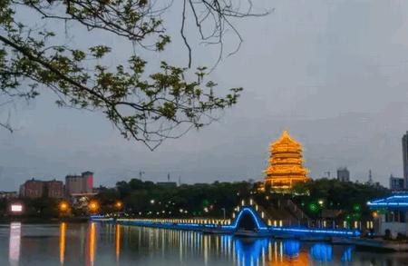 数字鹰潭app最新版