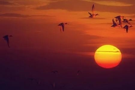 开拍视频剪辑app 开拍视频剪辑app