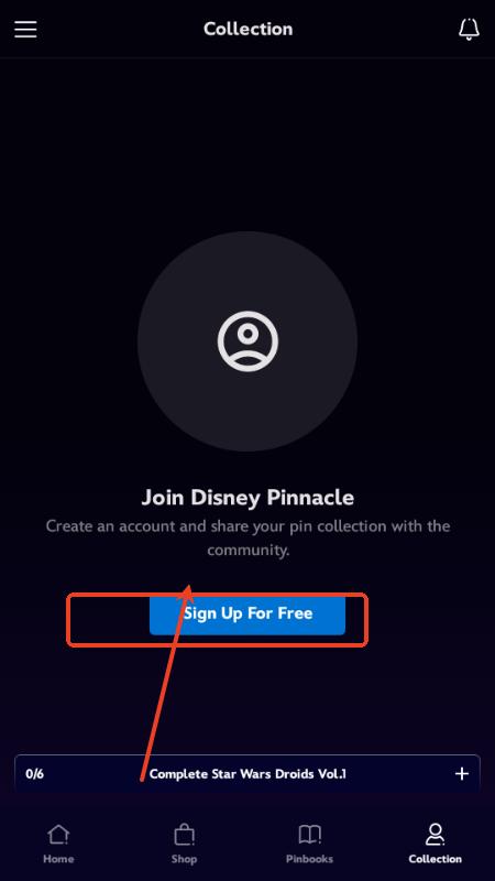 迪士尼Disney Pinnacle 迪士尼Disney Pinnacle