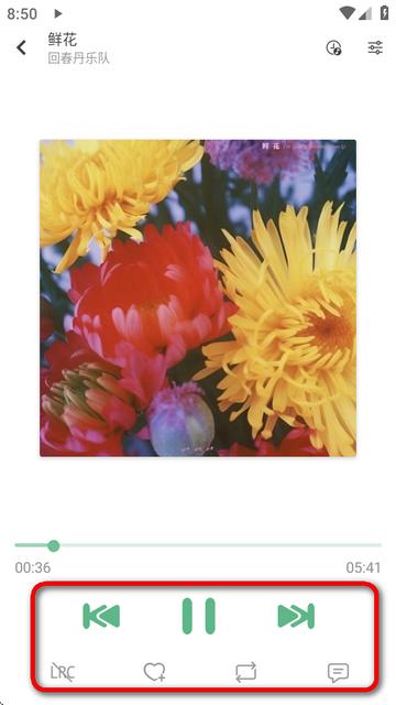 新洛雪音乐app 新洛雪音乐app