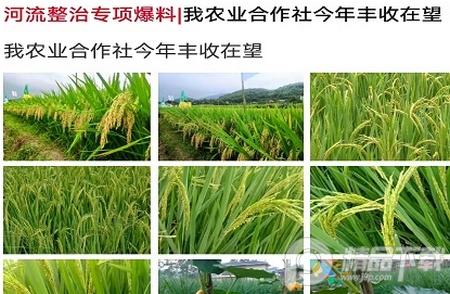 掌上岳池App平台