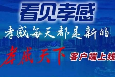 孝感天下app手机客户端