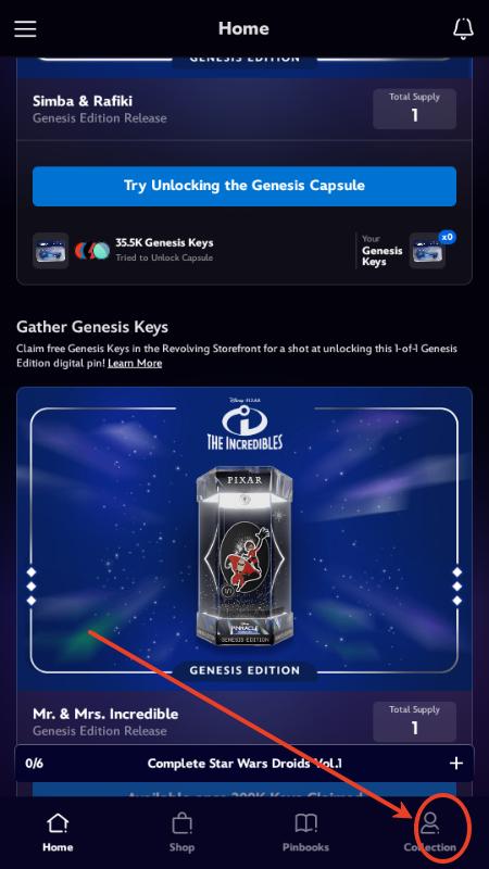 迪士尼Disney Pinnacle 迪士尼Disney Pinnacle