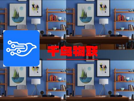 千鸟物联摄像头 千鸟物联摄像头