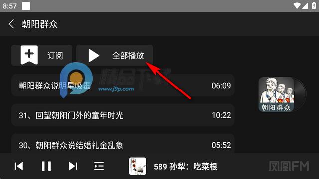 凤凰FM车载版 凤凰FM车载版