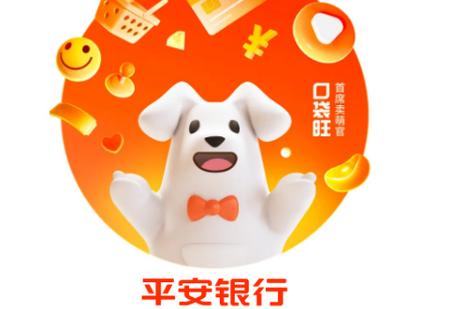 平安口袋银行 平安口袋银行