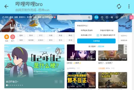 哔哩哔哩bro版
