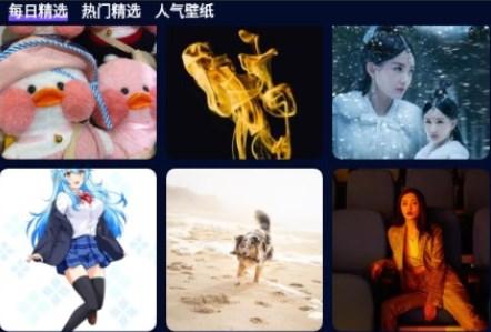 番茄动态壁纸app安卓版