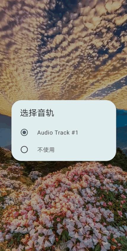 原生视频播放器(Next Player)