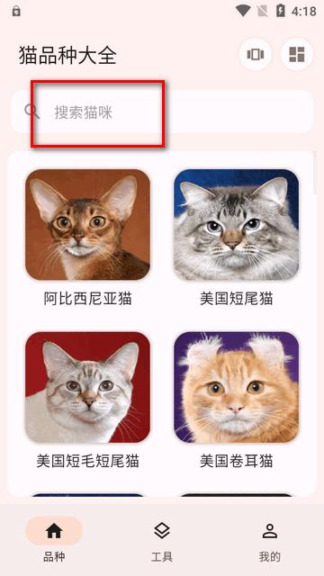 猫品种大全app最新版 猫品种大全app最新版