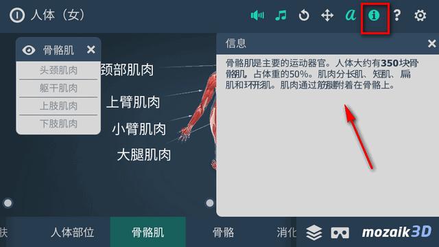 女性人体系统软件(Human body (female)) 女性人体系统软件(Human body (female))