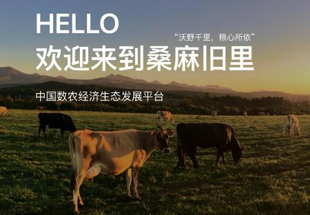 桑麻旧里app安卓版