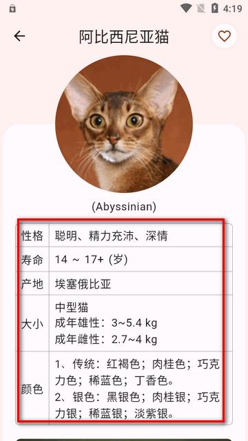 猫品种大全app最新版 猫品种大全app最新版