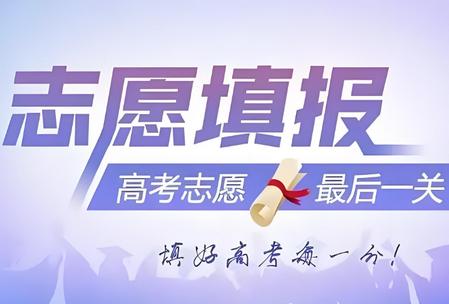 高考志愿网2025年最新版