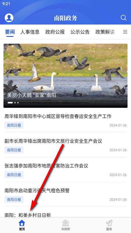 南阳政务服务平台